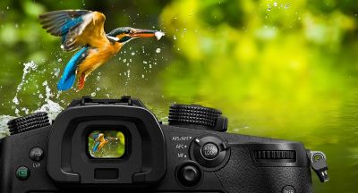 PANASONIC Lumix DC-GH5 - grand viseur oled 3680k points