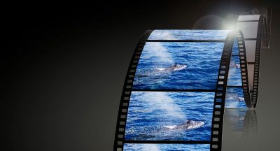 PANASONIC Lumix S Pro 70-200 F2.8 O.I.S. - une prise en charge vidéo pour des enregistrements uniques