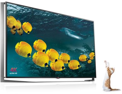 DALLE IPS 4K