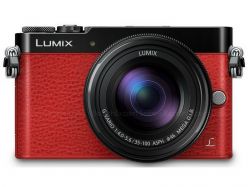 PANASONIC Lumix DMC-GM5