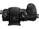 PANASONIC Lumix DC-GH5