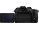 PANASONIC Lumix DC-GH5