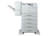 EPSON WorkForce AL-C500DXN