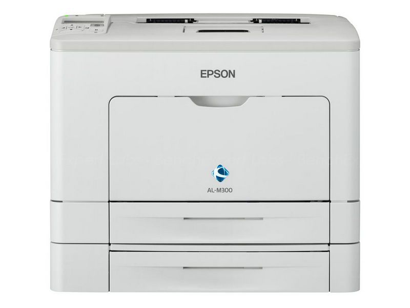 EPSON WorkForce AL-M300DT