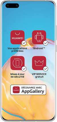 Huawei P40 Pro, Double SIM, 8Go, 4G