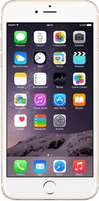 Apple iPhone 6 Plus, 16Go, 4G