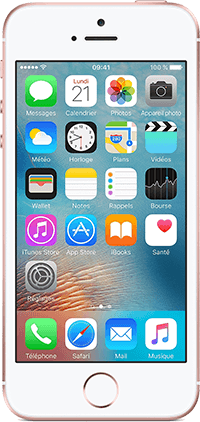 Apple iPhone SE, 64Go, 4G