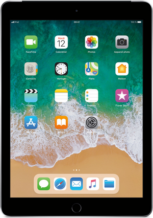 APPLE iPad 9.7 2018 Wi-Fi + Cellular, 32Go, 4G