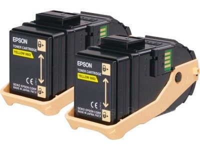 EPSON C13S050606